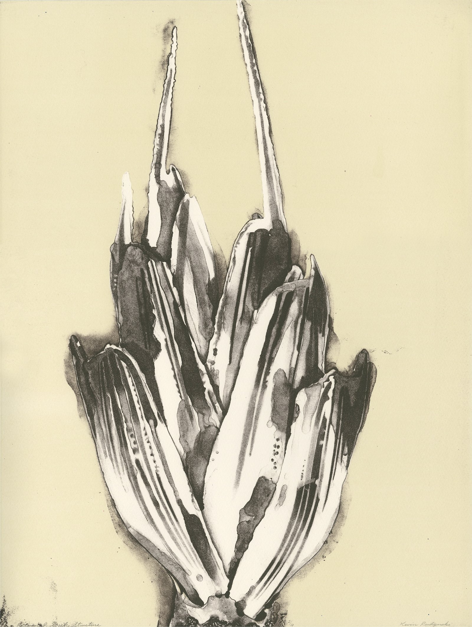 Headwater Print Series - Image 8