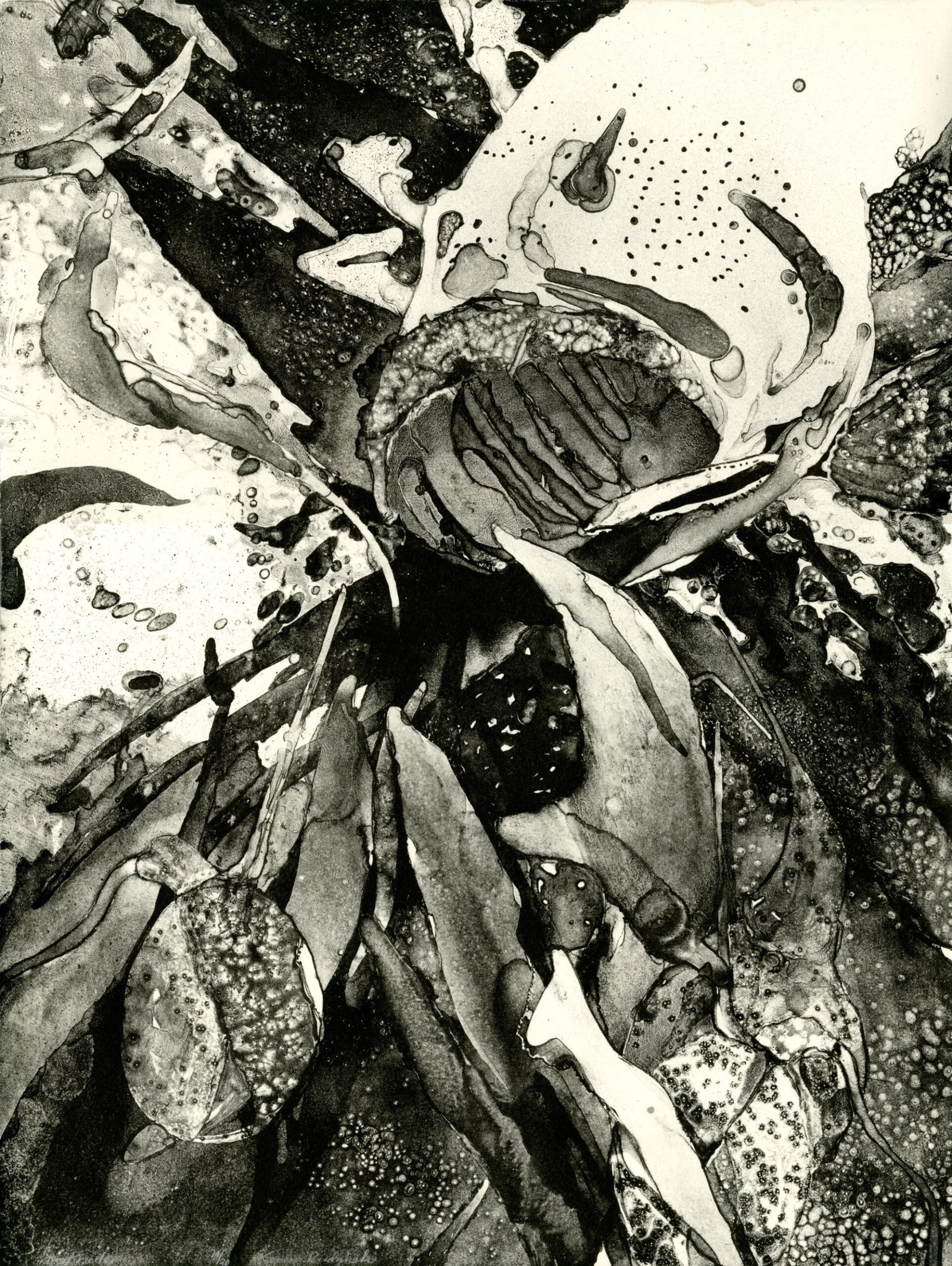 Headwater Print Series - Image 3