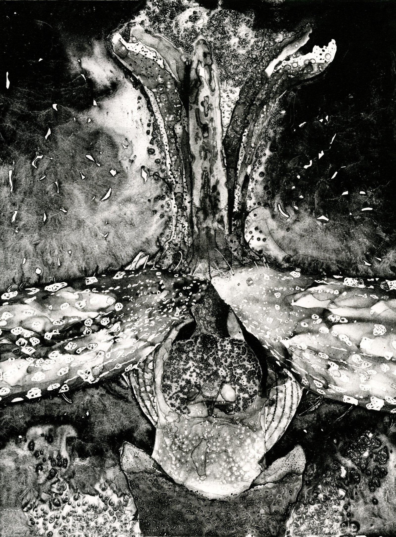 Headwater Print Series - Image 2