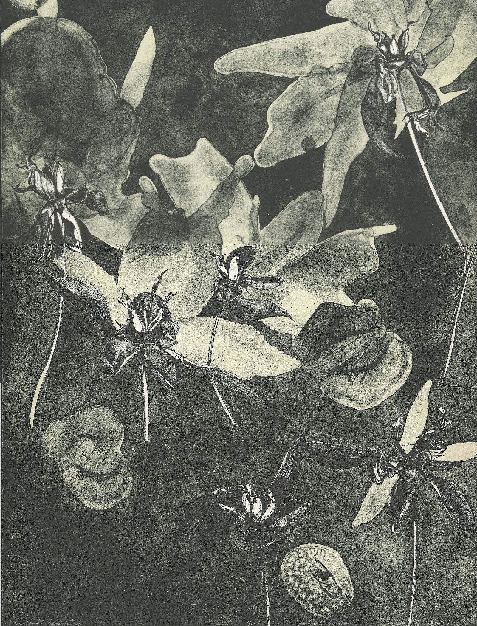 Headwater Print Series - Image 4
