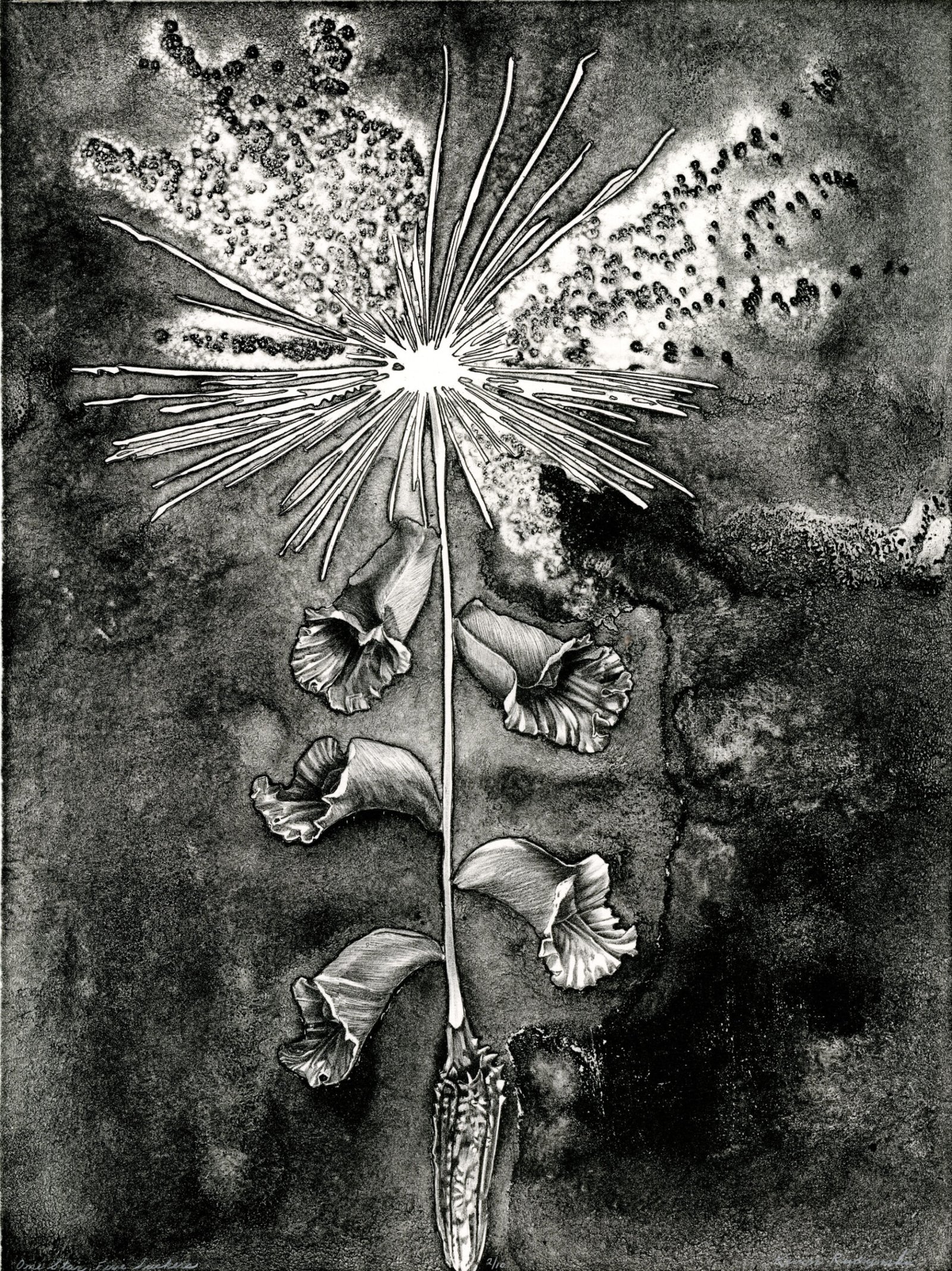 Headwater Print Series - Image 5