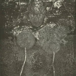 Sostenuto