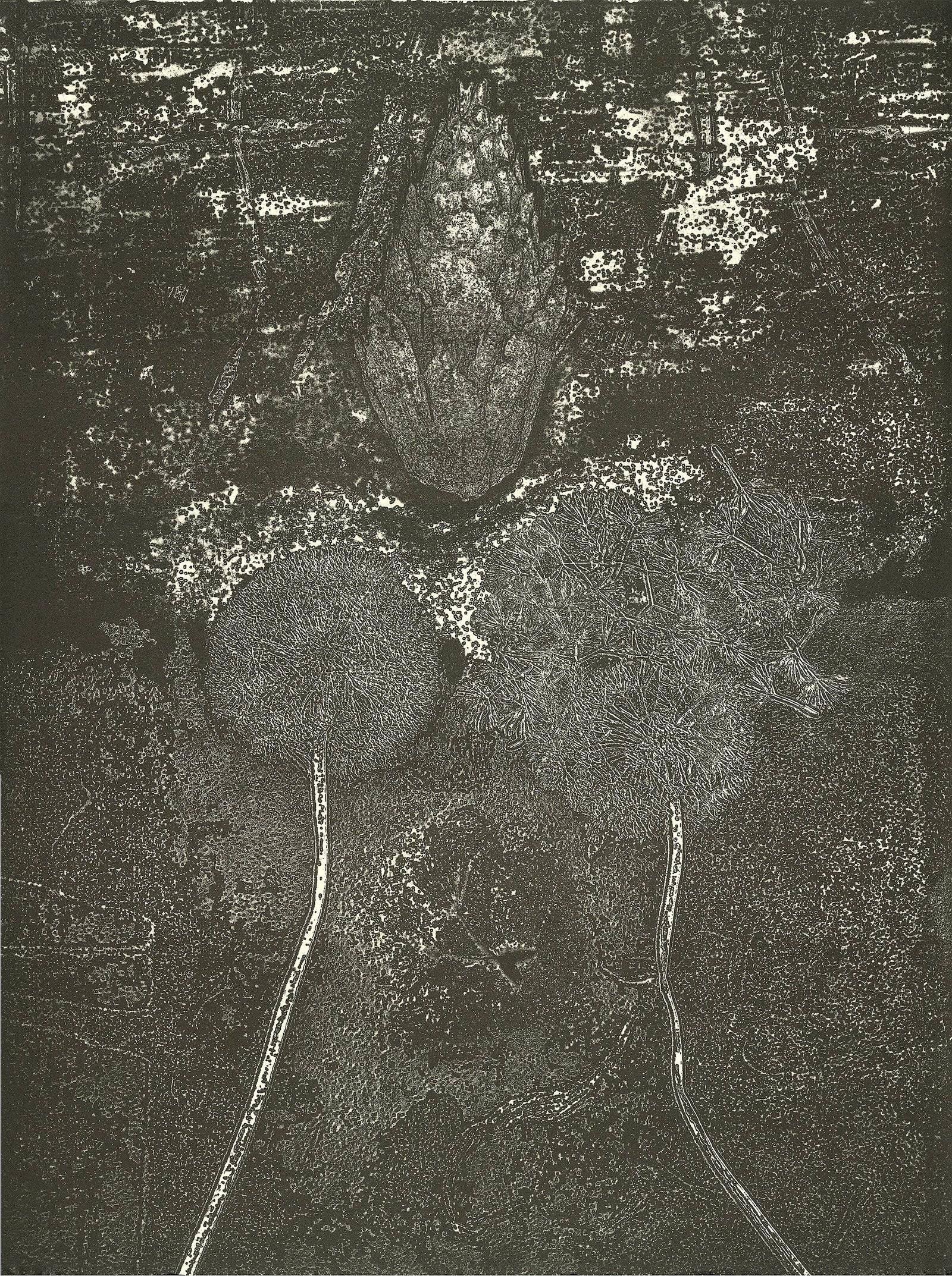 Headwater Print Series - Image 7