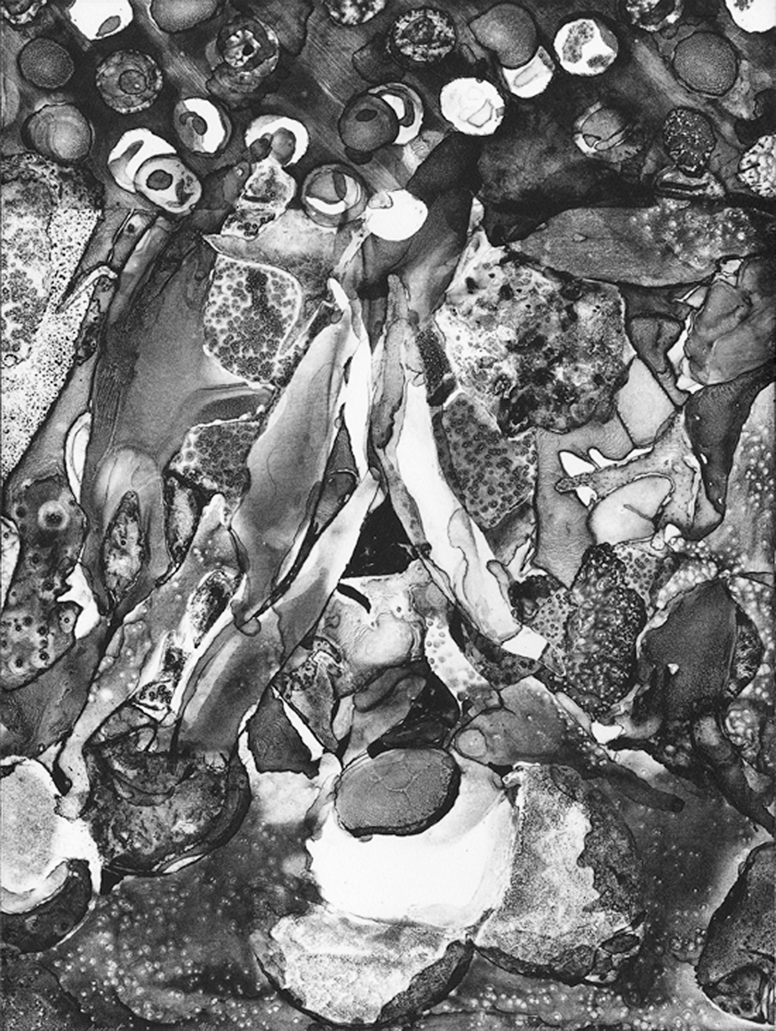 Headwater Print Series - Image 9