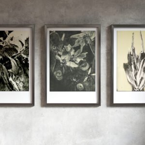 Headwater Print Series
