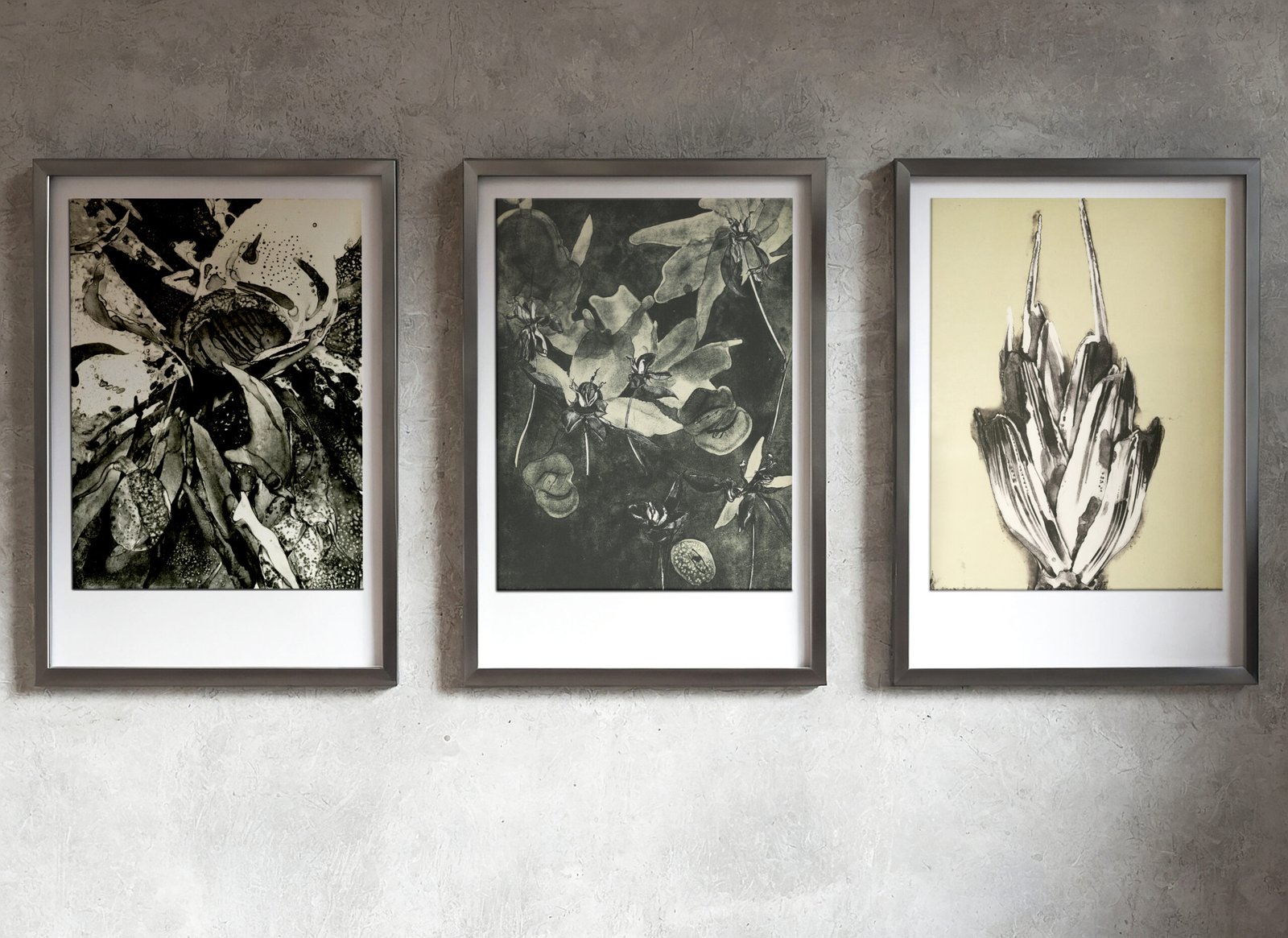 Headwater Print Series