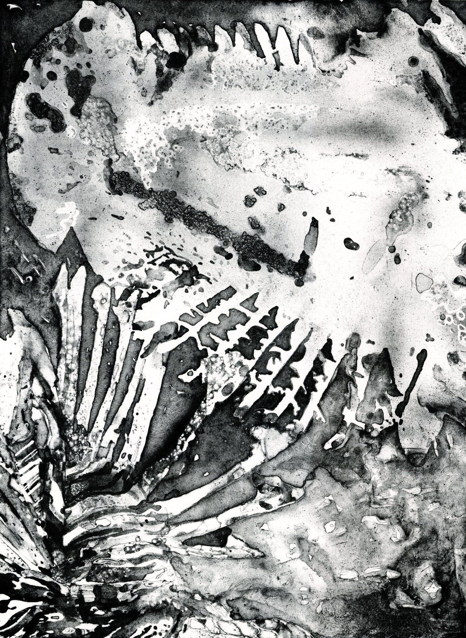 Headwater Print Series - Image 10